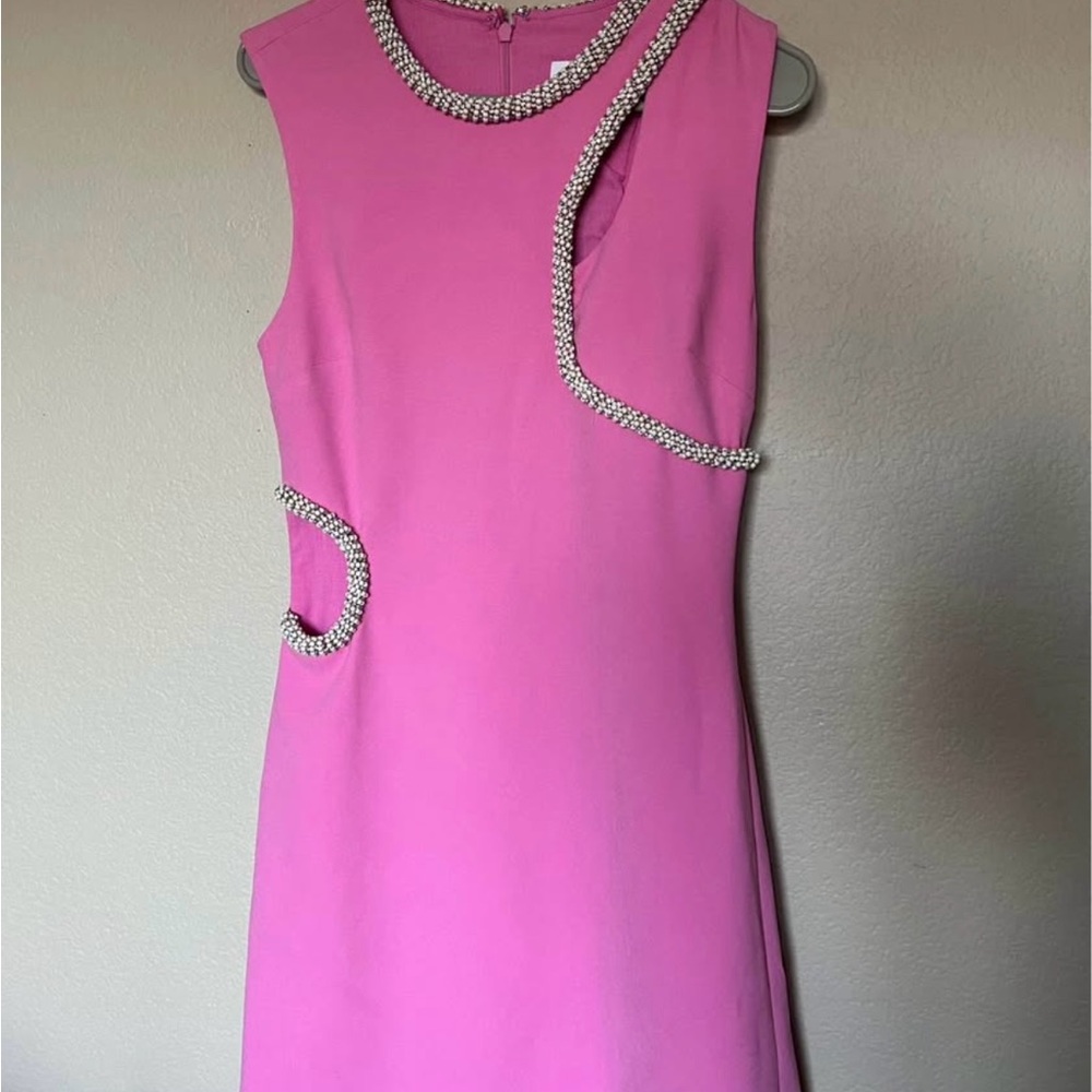 Jonathan Simkhai Pink Asymmetrical Dress with Beaded Trim